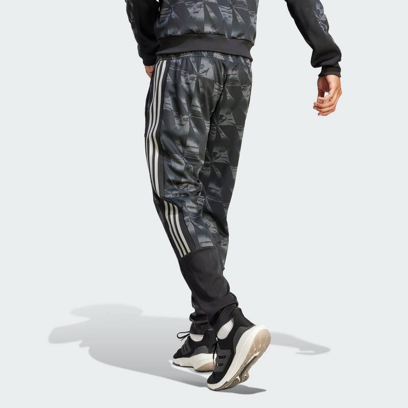 adidas Ajax LFSTLR Trainingshose Trainingshose Herren