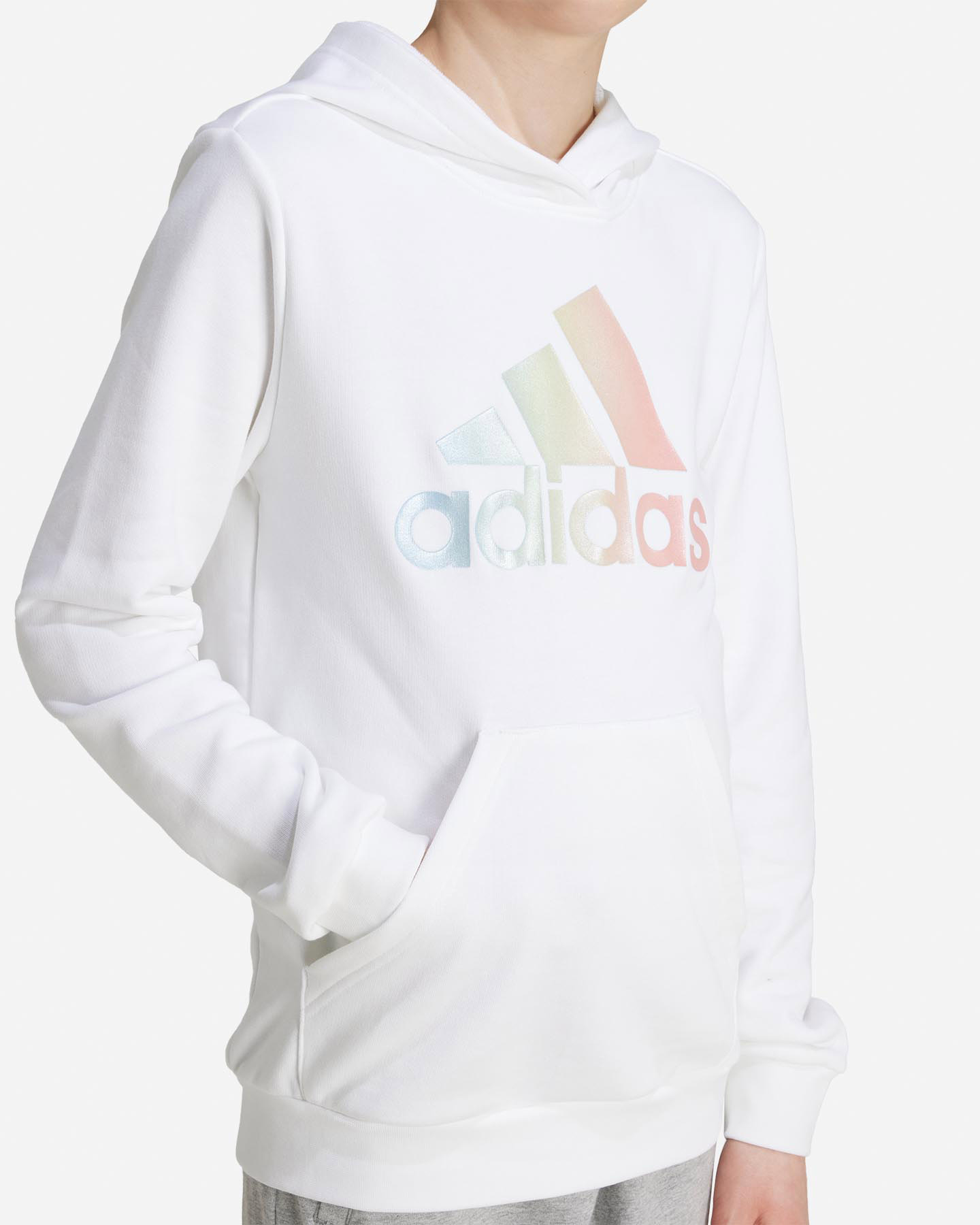 Adidas Big Logo Jr JE5649 polar