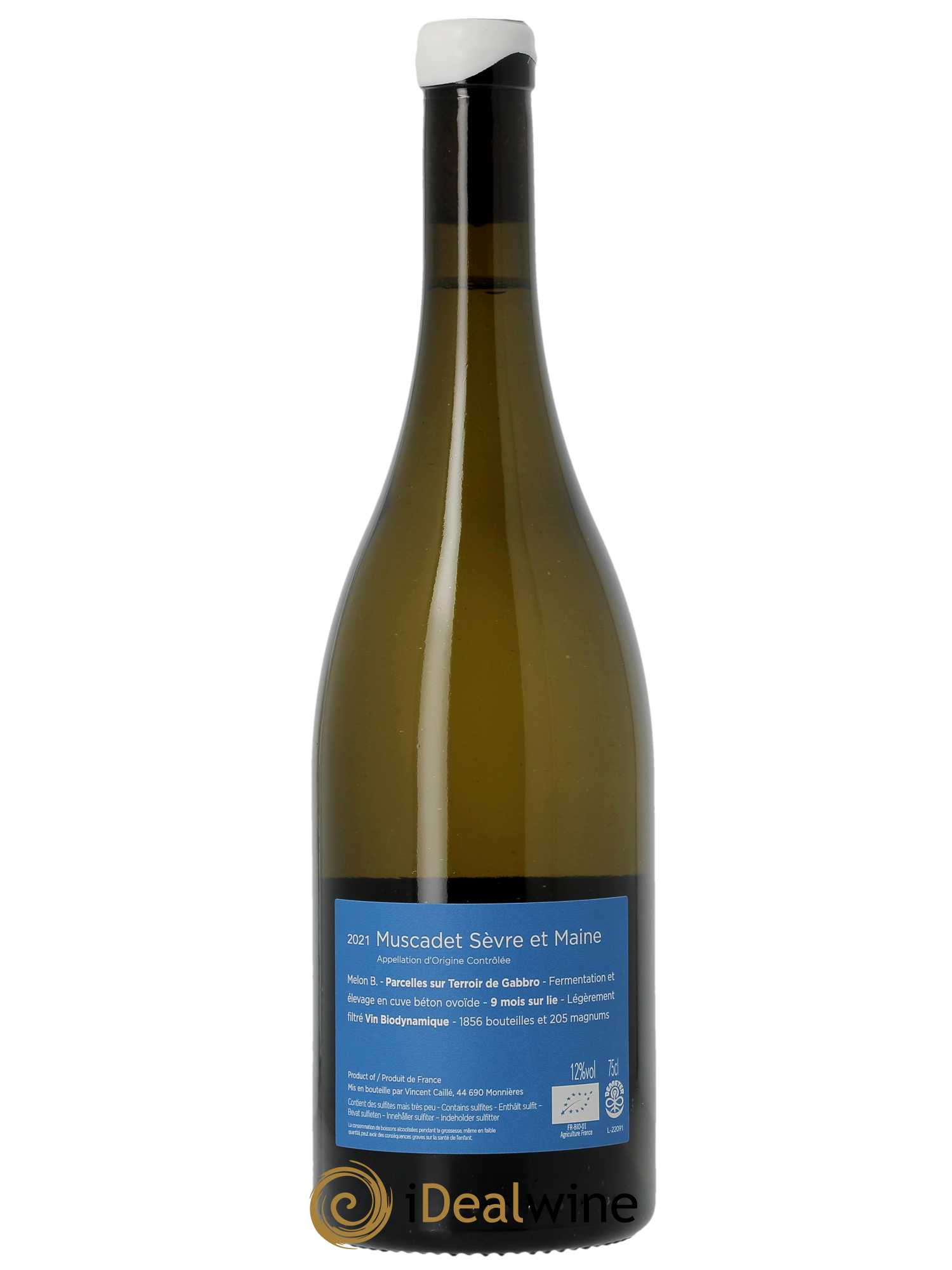 Muscadet-Sèvre-et-Maine Terre de Gabbro Le Fay d'Homme  2021 - Lot de 1 Bouteille