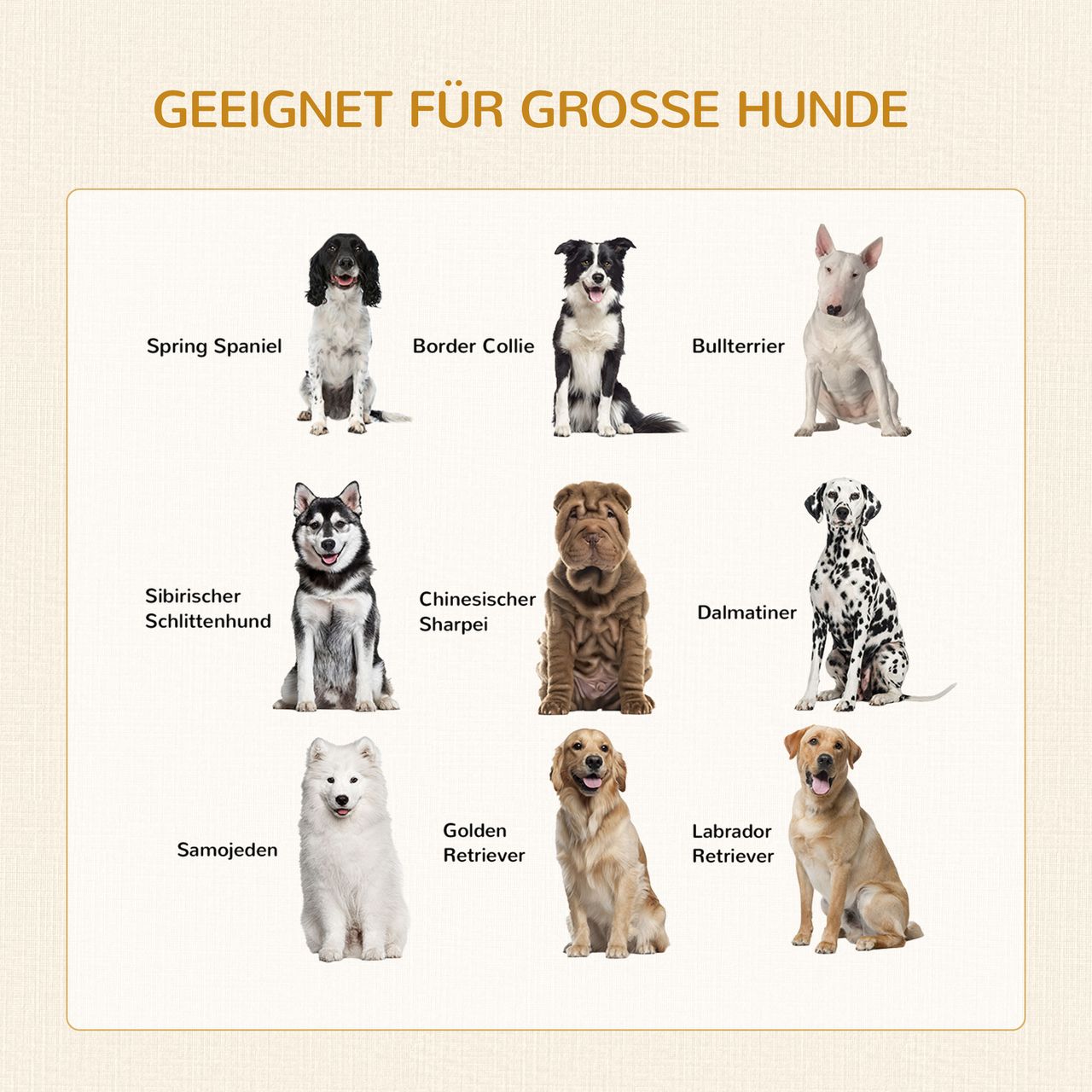 PawHut Hundekäfig, Haustierkäfig mit Kissen, Hundehaus, Hundehütte, Weiß