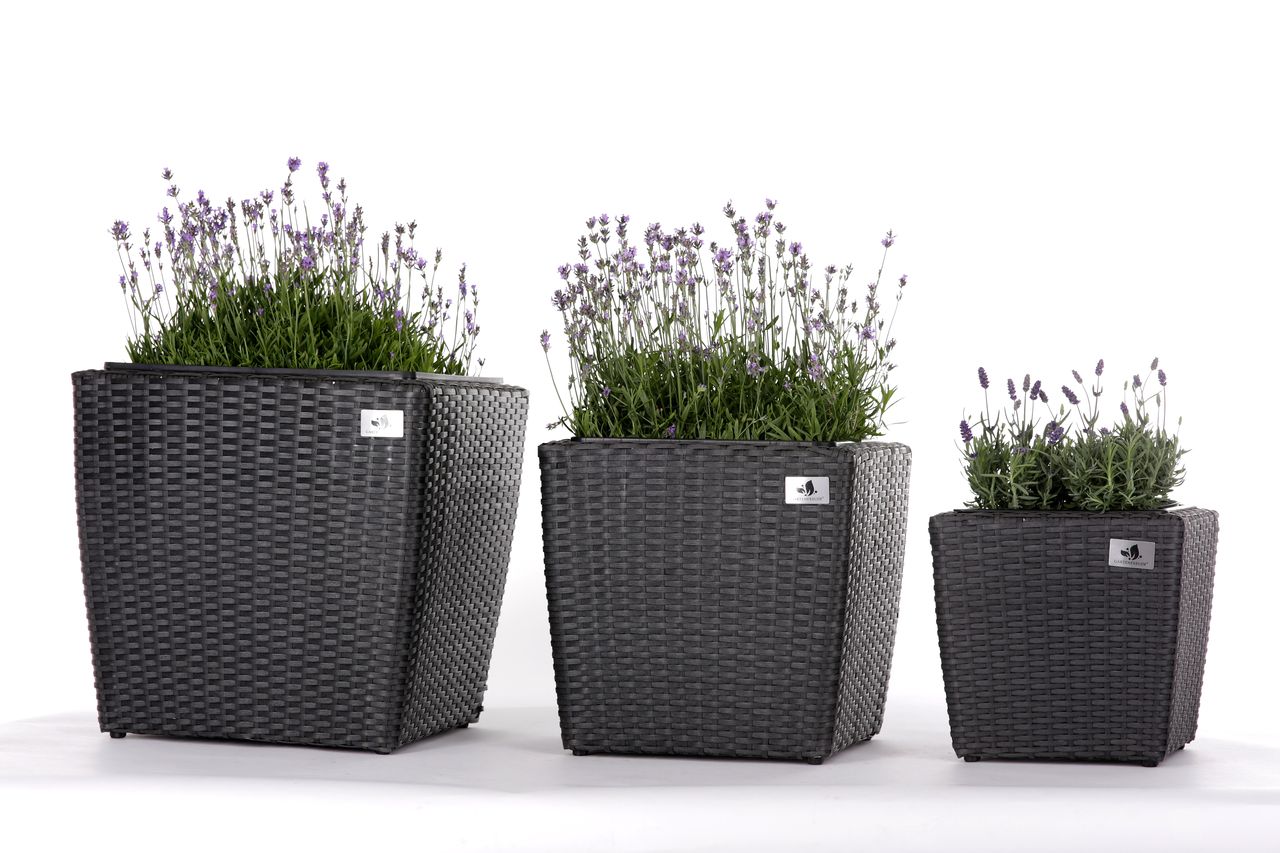 Weles Pflanzkübel Polyrattan 46 x 46 x 45 cm, 37 x 37 x 37cm, 28 x 28 x 30cm, Kunststoffeinsatz, anthrazit