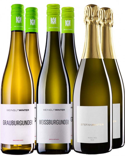 Kennenlern-Paket - Weingut Winter