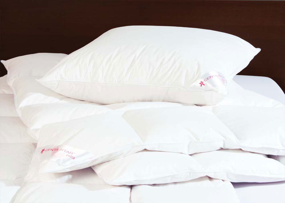 CENTA-STARDaunen-Kassettenbett 1260g