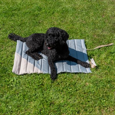 Nomad Tales Reise-Hundematte Stone