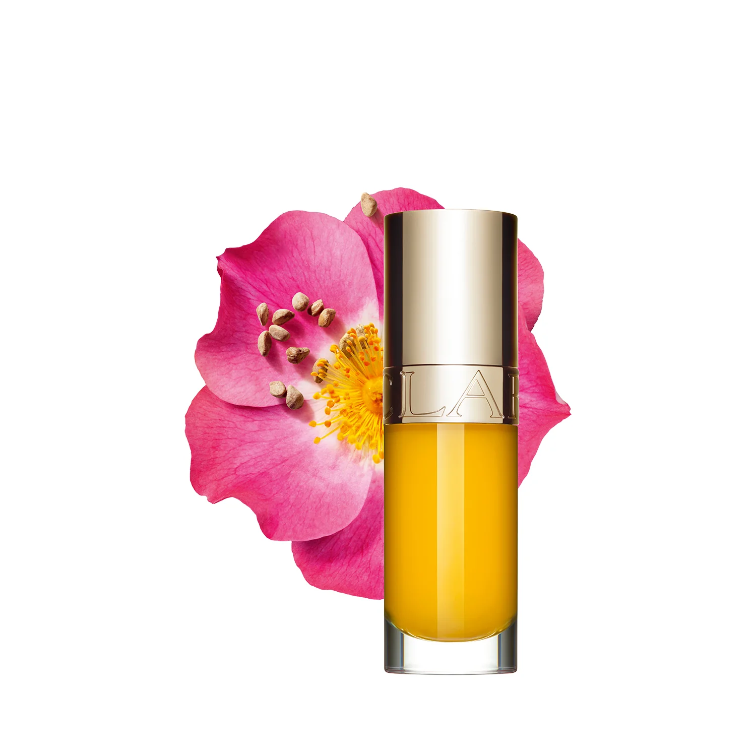 Læber Lip Comfort Oil - Farvernes Kraft - Gloss