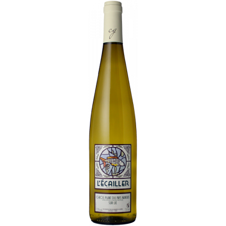 L’ÉCAILLER 2022 - CHÂTEAU GUIPIERE