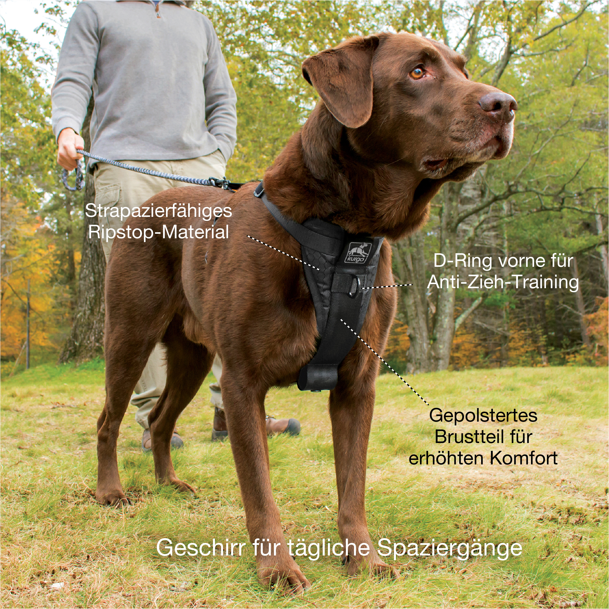 Kurgo Hundegeschirre Kurgo Tru-Fit Smart Hundegeschirr M