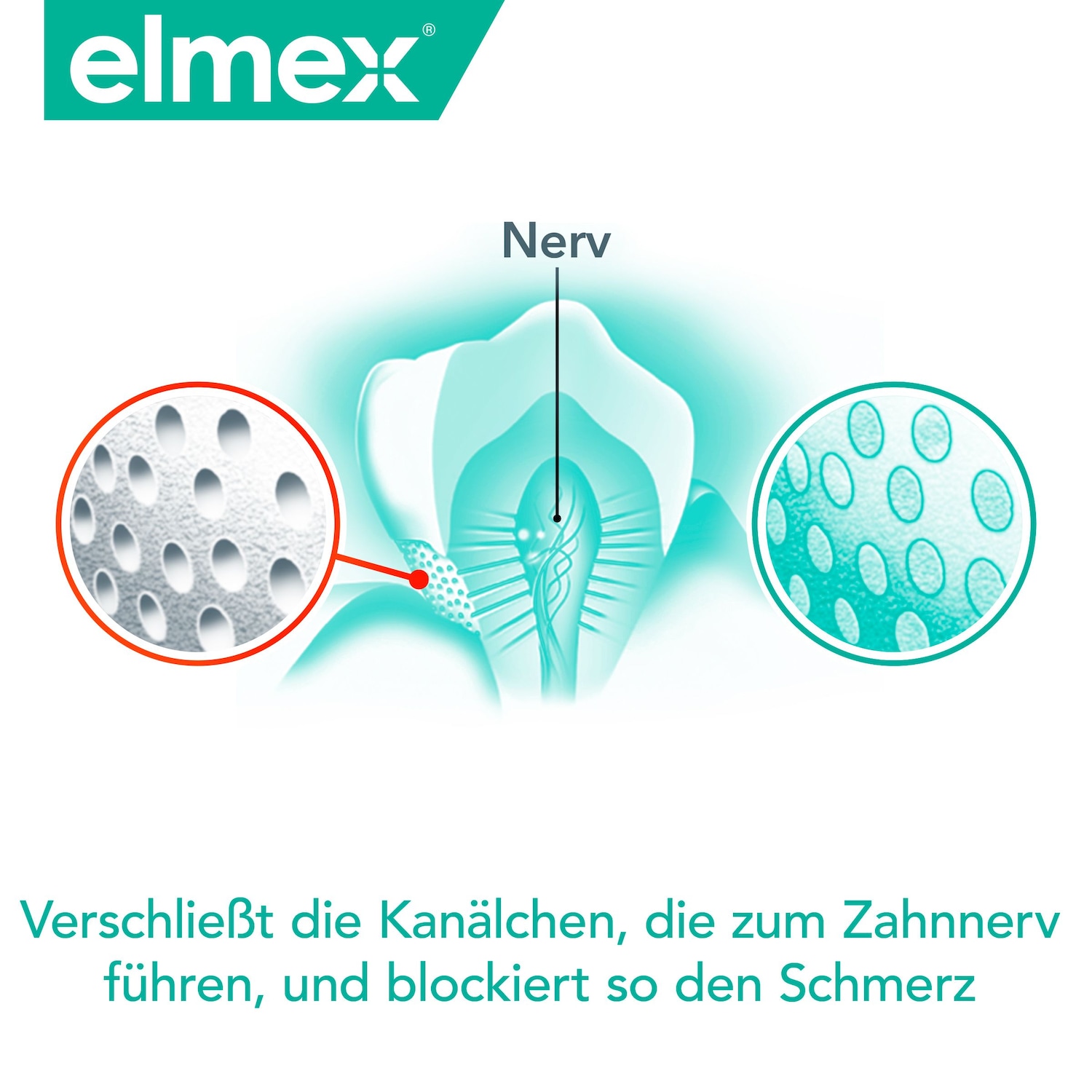 SENSITIVE PROFESSIONAL Zahnspülung