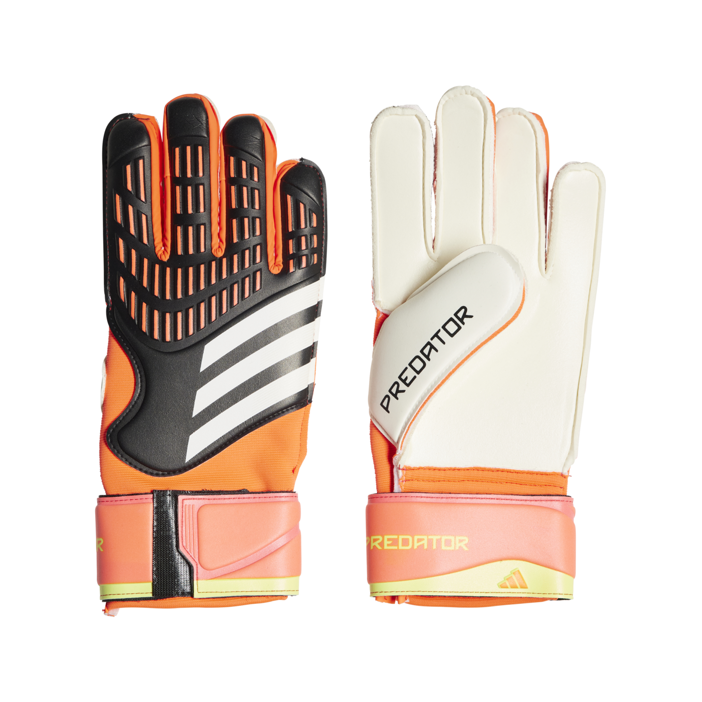 adidas Predator Match Torwarthandschuhe