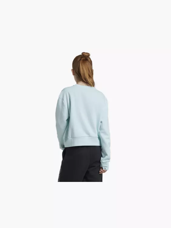 adidas Sweatshirt