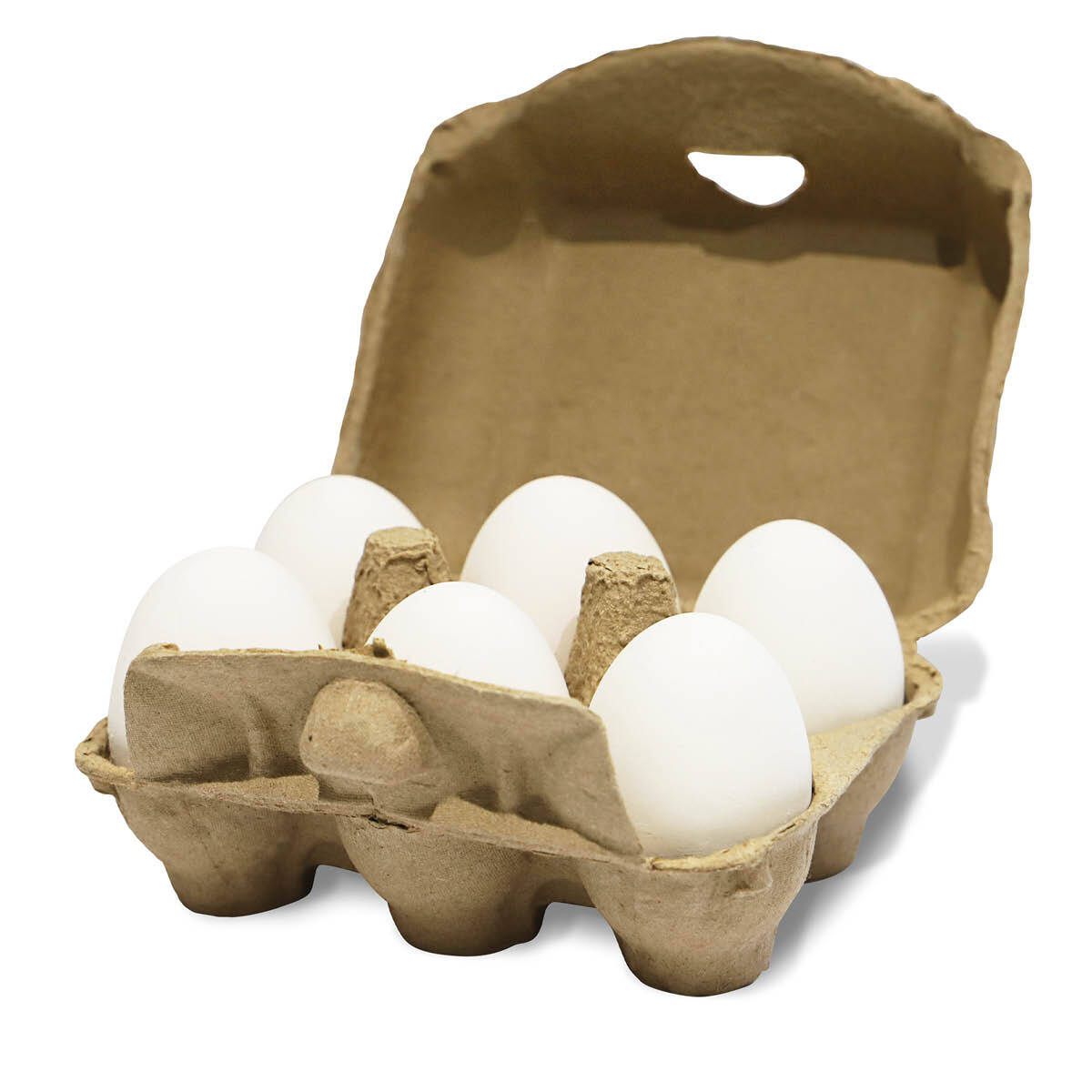 Aniforte Zubehör Aniforte Toneier 6er Pack