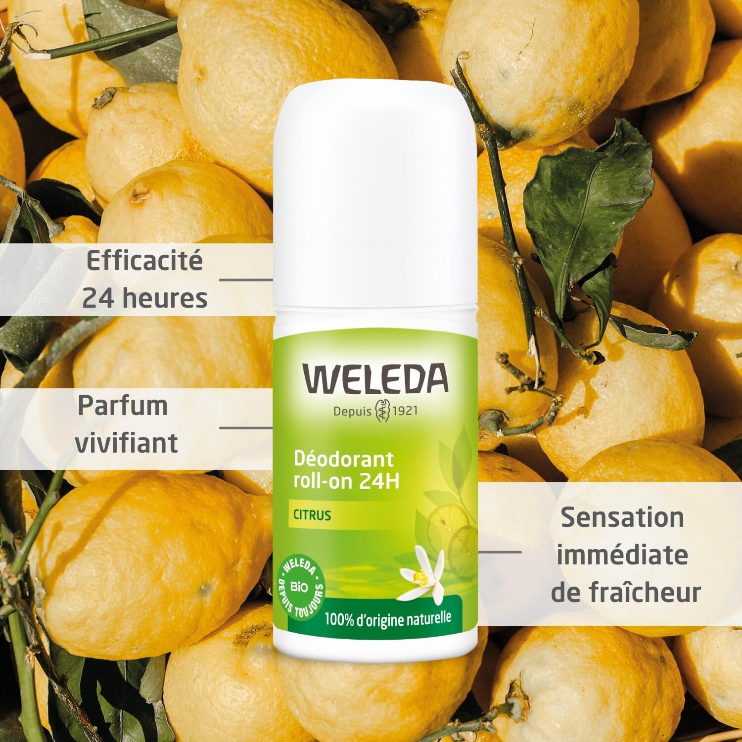 Weleda Citrus Déodorant Roll-On - Sans Sels d'Aluminium - Efficacité 24h - Flacon à Bille 50 ml