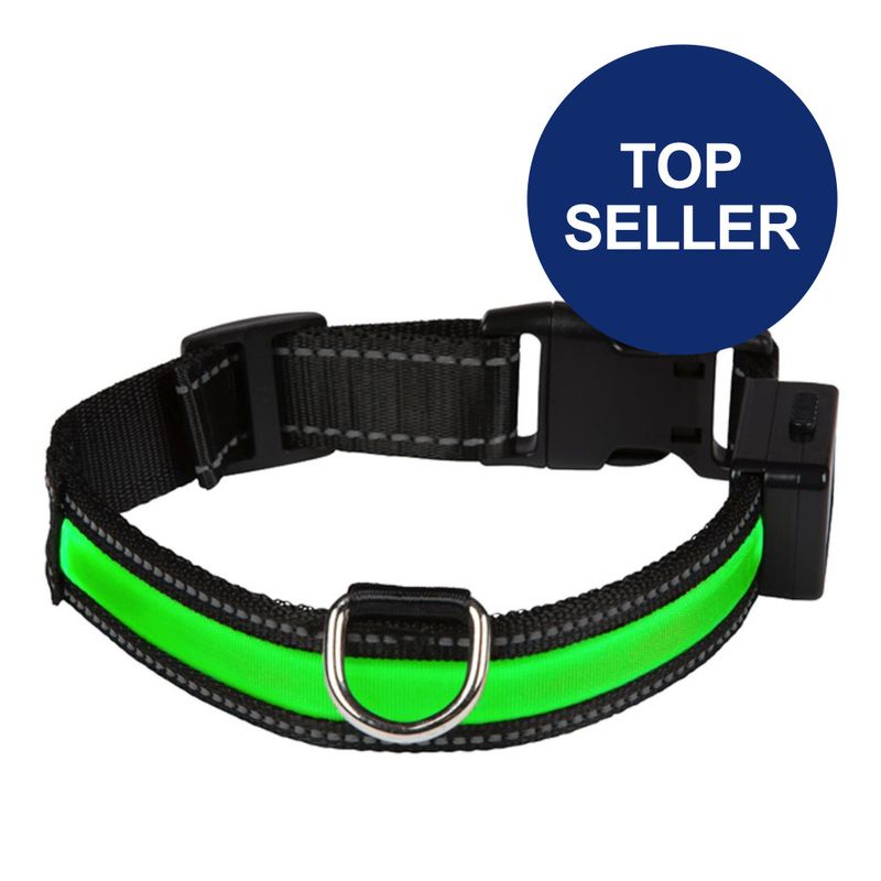 Eyenimal LED-Leuchthalsband - grün zu TOP-Preisen