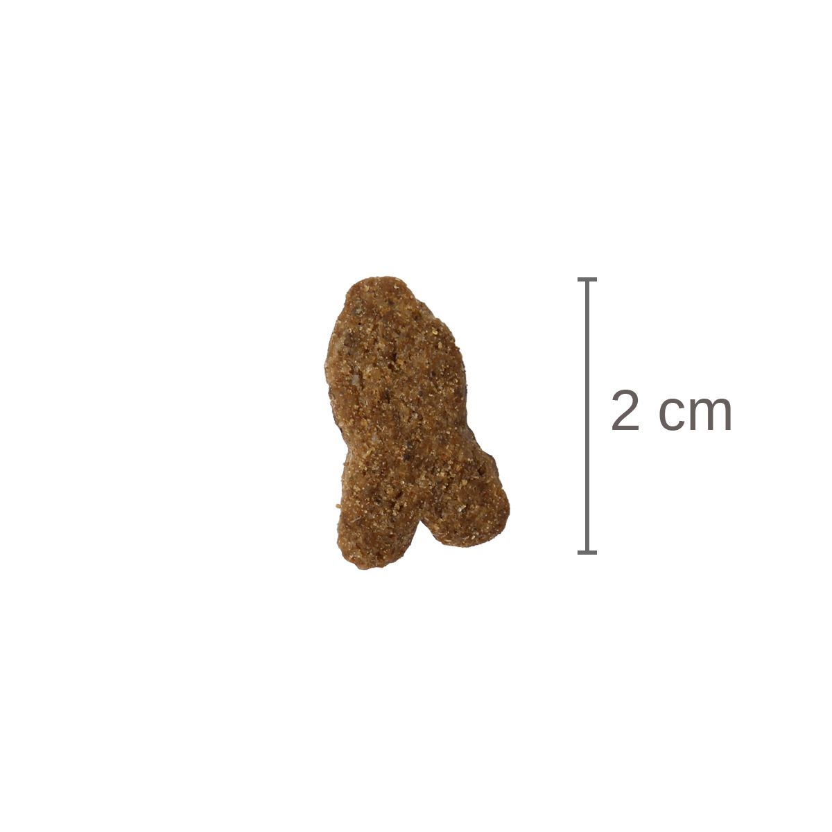 Bosch Hundefutter Adult Lachs & Kartoffel kaufen bei ZooRoyal
