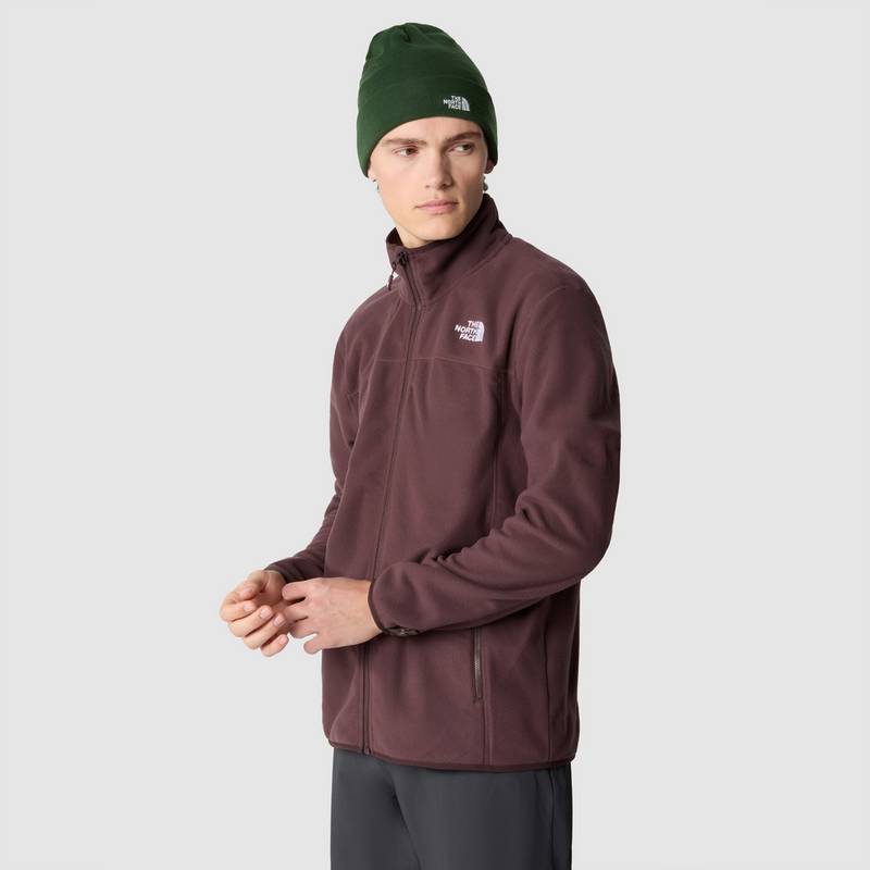 The North Face 100 GLACIER Fleecejacke Herren