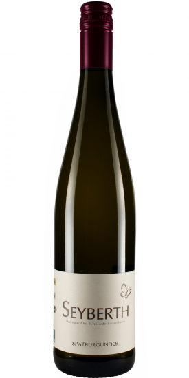 2019 Spätburgunder trocken Bio - Weingut Seyberth