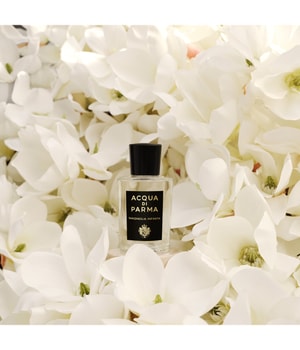 Acqua di Parma Signatures of the Sun Magnolia Infinita Eau de Parfum 100 ml