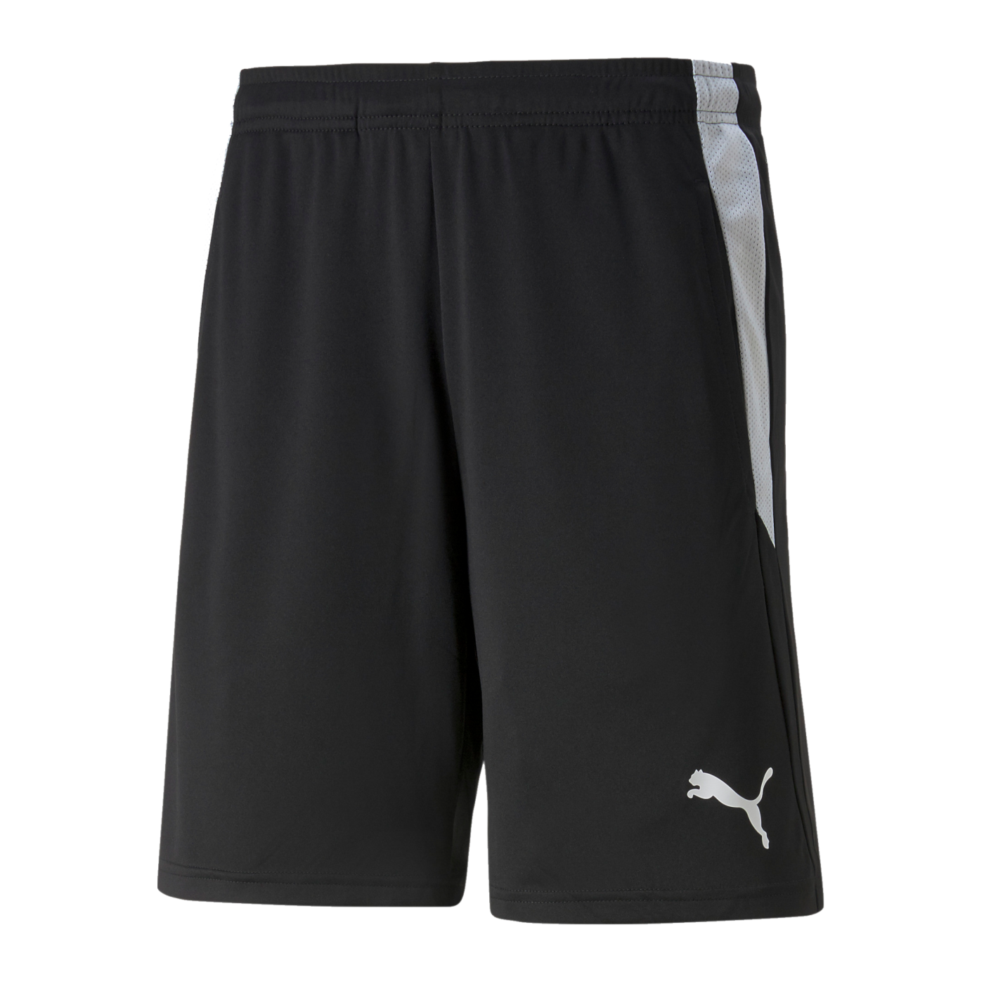 PUMA teamLIGA Schiedsrichter Short Schwarz F03