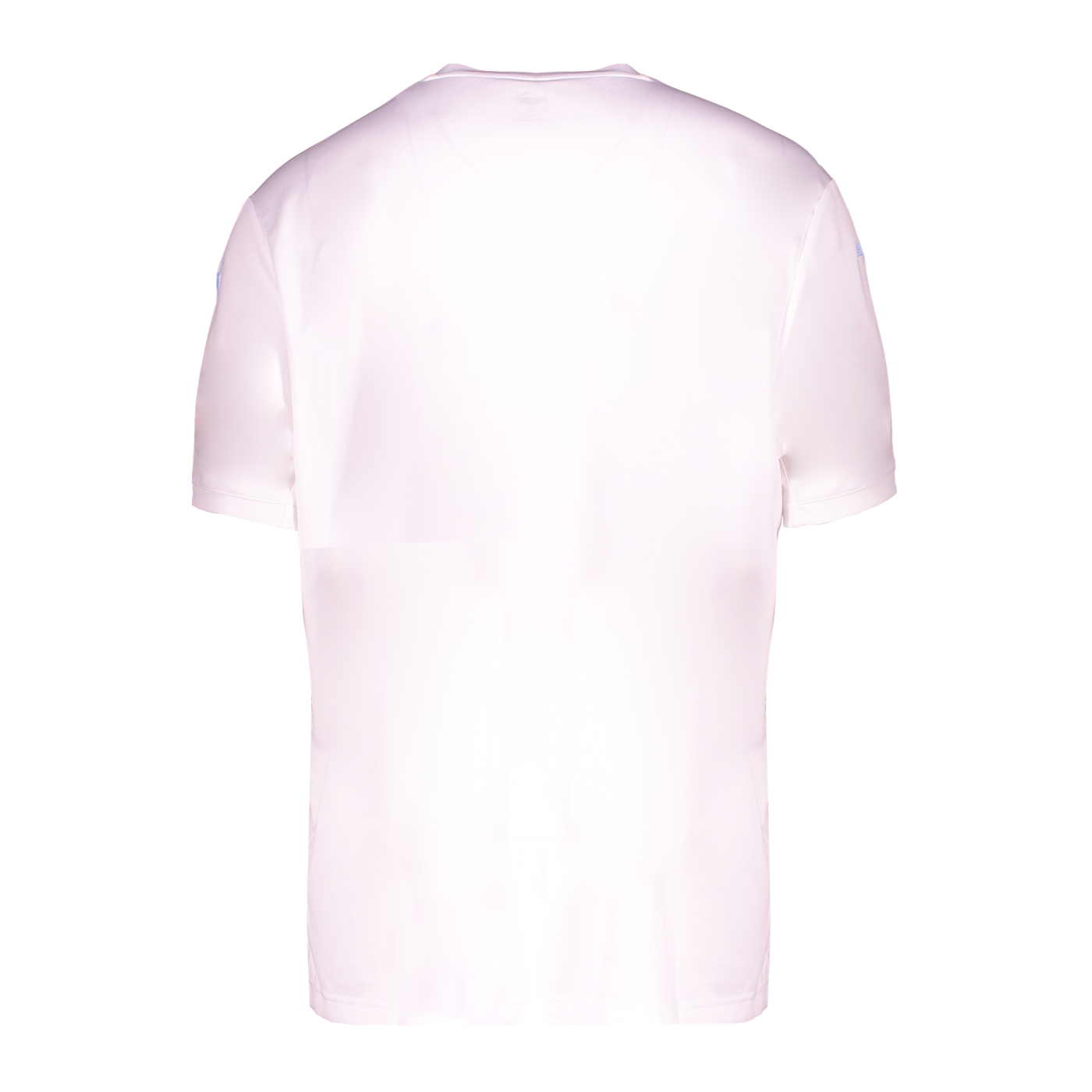PUMA fastTEAM Crew Trikot Weiss F01