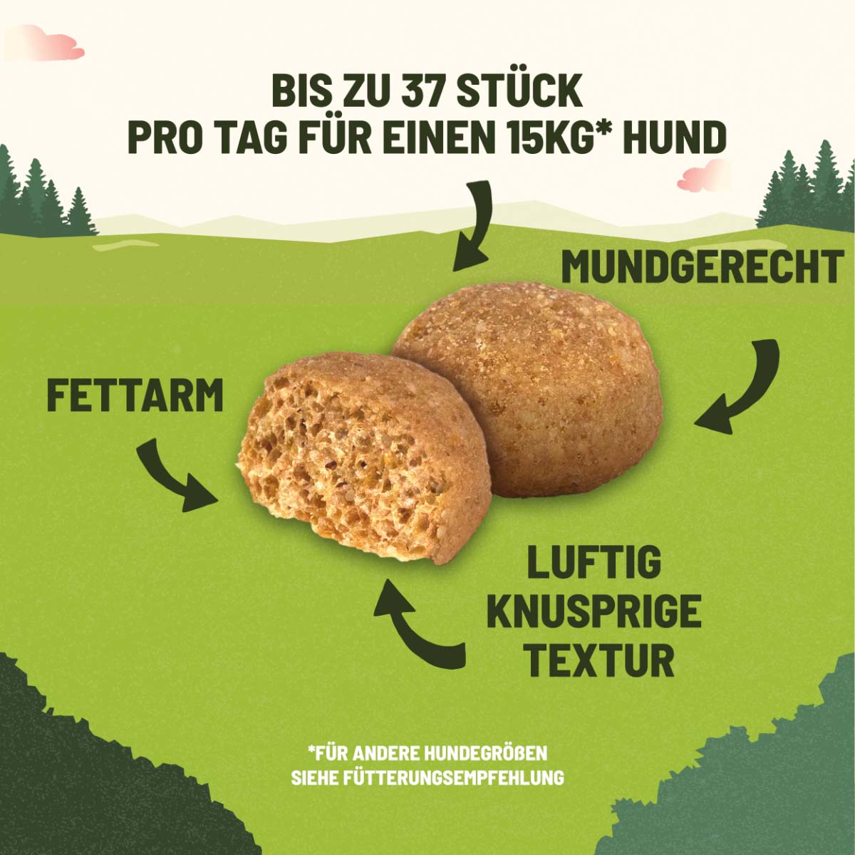 AdVENTuROS Training Hirsch günstig kaufen bei ZooRoyal
