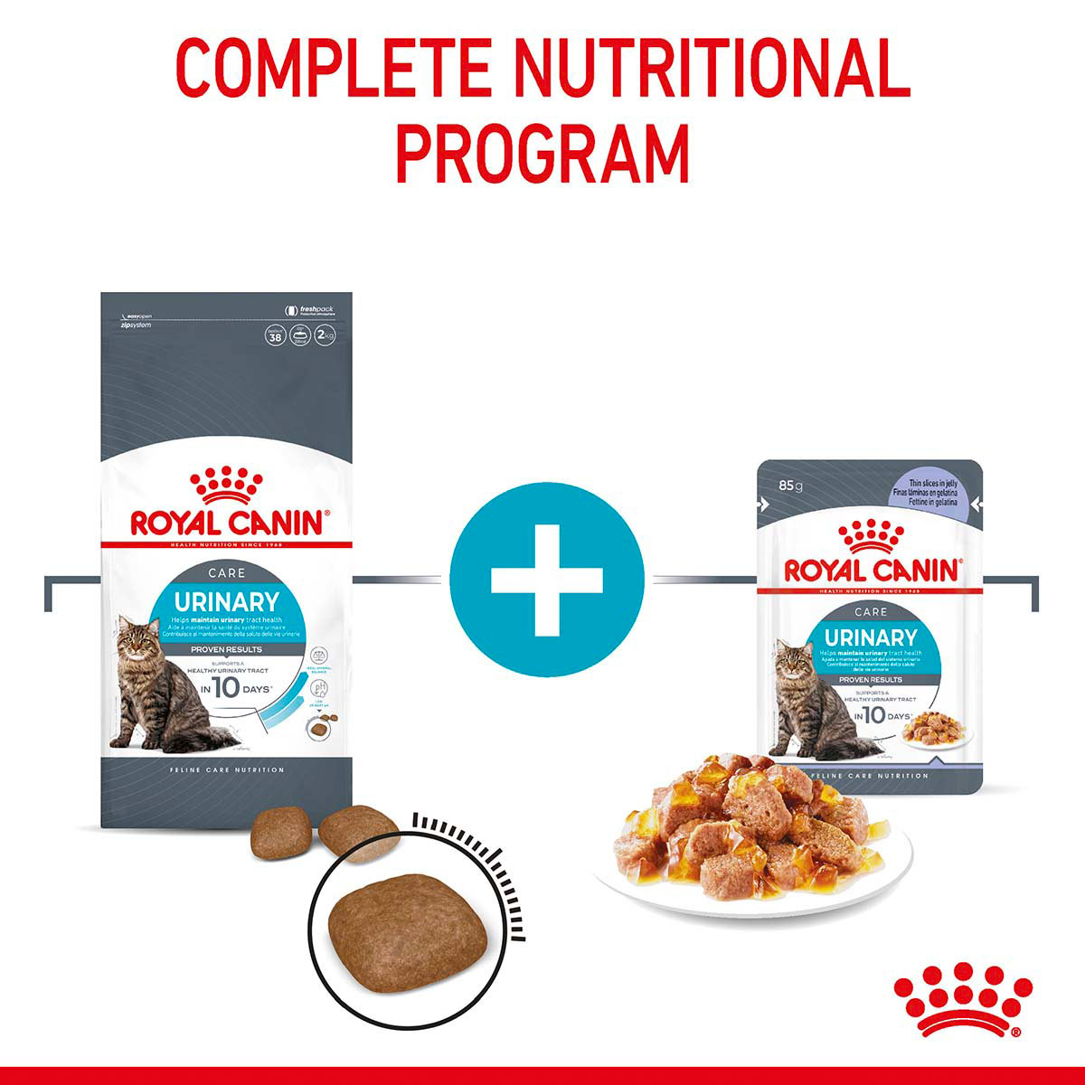 Royal Canin FCN Urinary Care Jelly günstig kaufen bei ZooRoyal