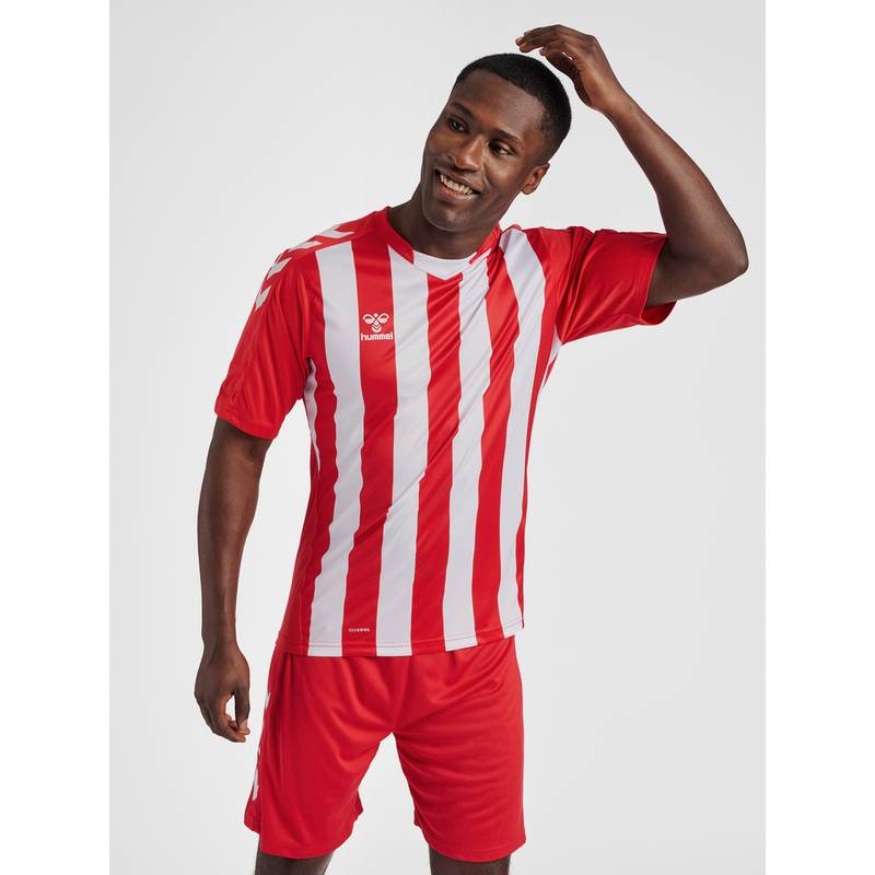 hummel hmlCORE XK STRIPED JERSEY S/S Trikot Herren