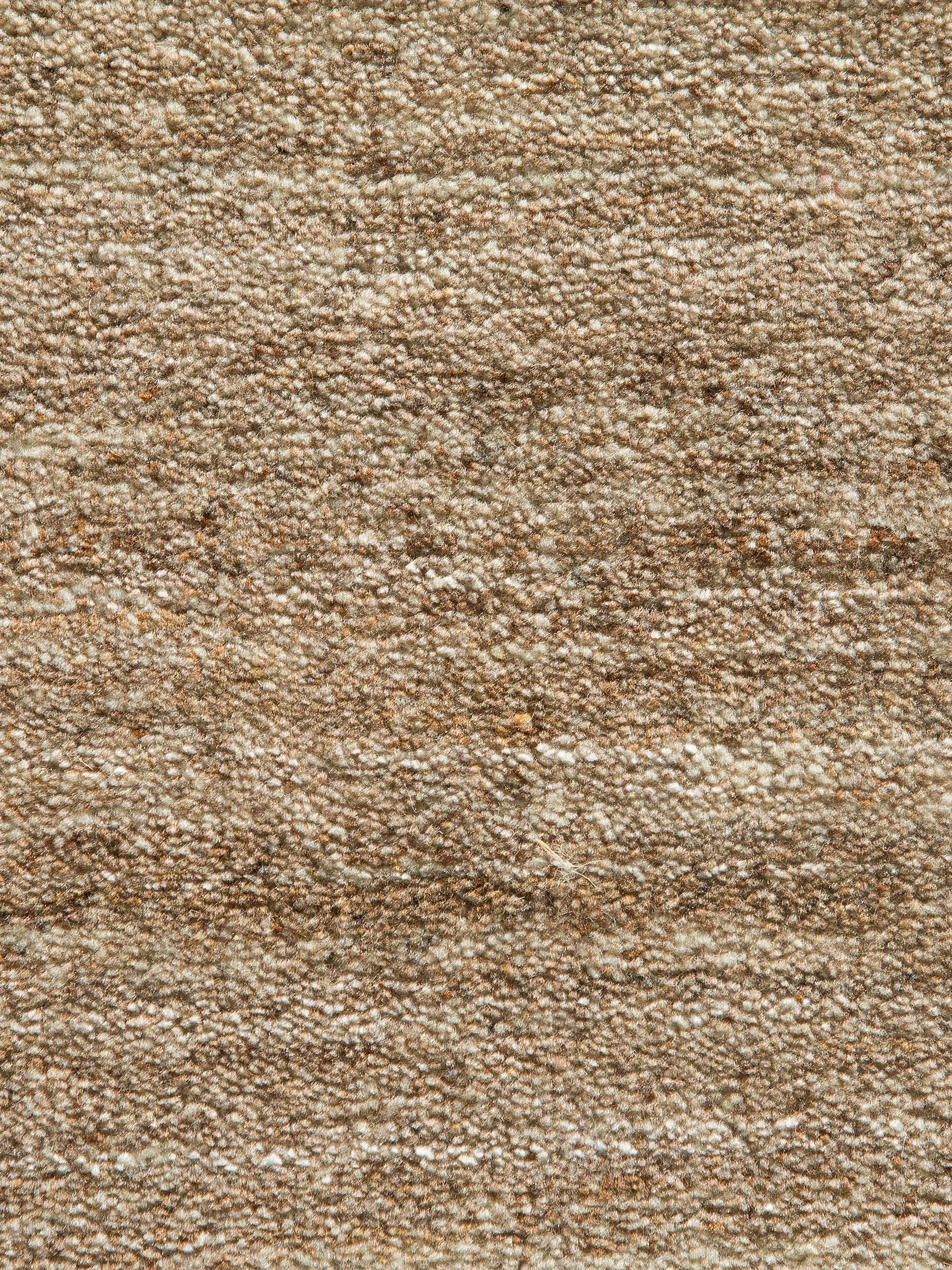 Samnapur Woll-Teppich, Beige