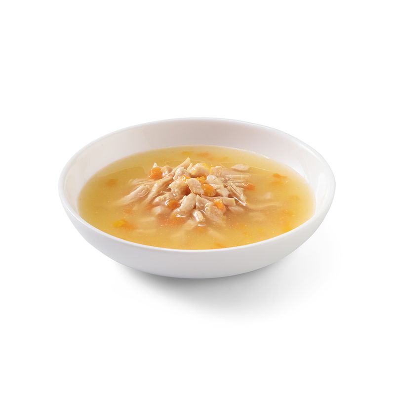 Sparpaket Schesir Cat Soup 24 x 85 g zu TOP-Preisen % | bitiba