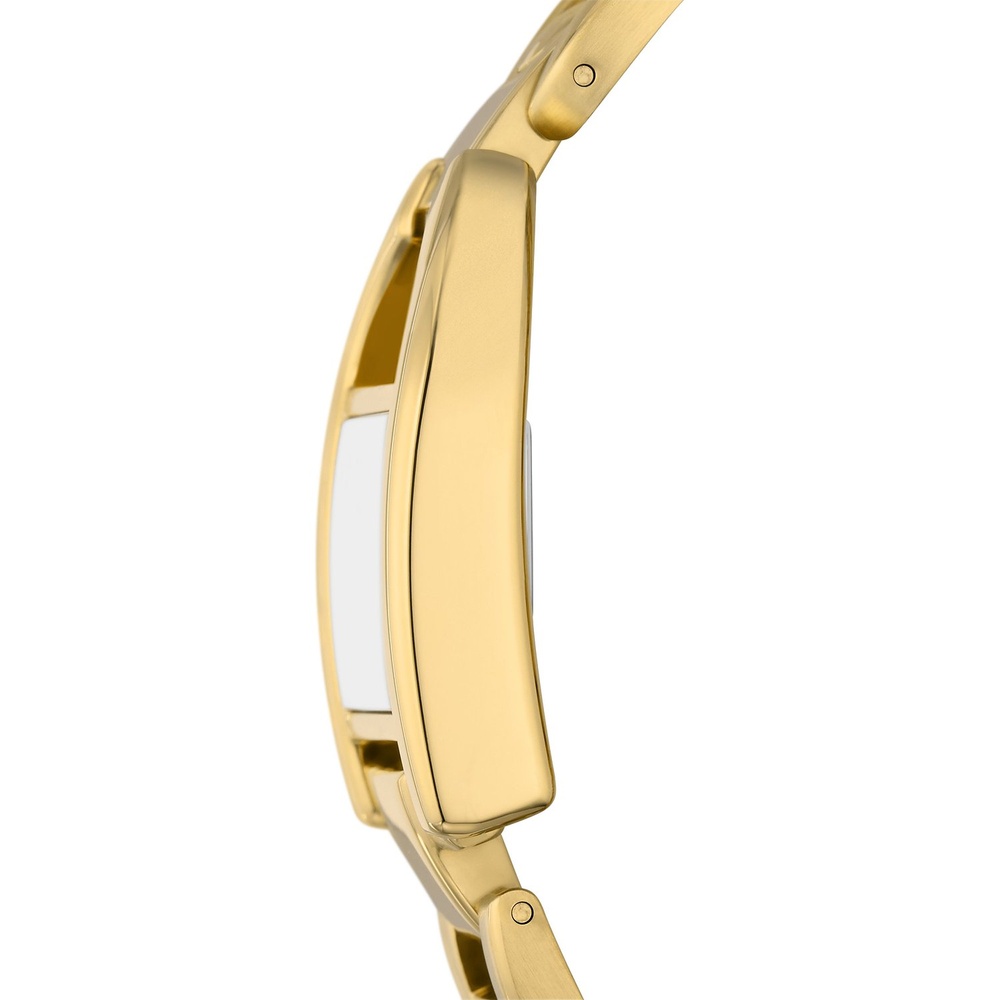 Fossil Montre pour femme Acier inoxydable Montre