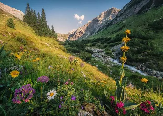 Puzzle 1000 Teile - Im Garten Eden