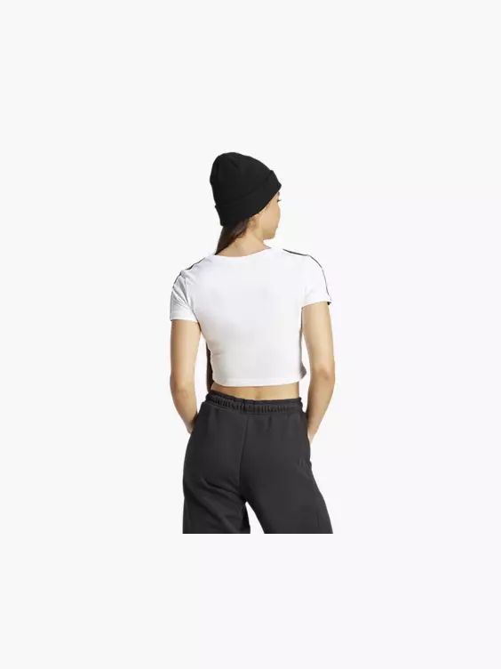 adidas Crop T-Shirt