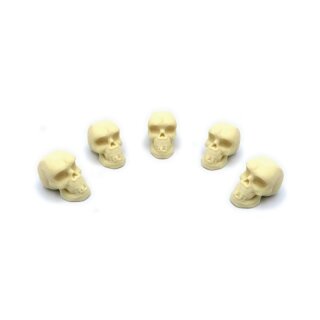 Upgrade Kit for Paleo (75)