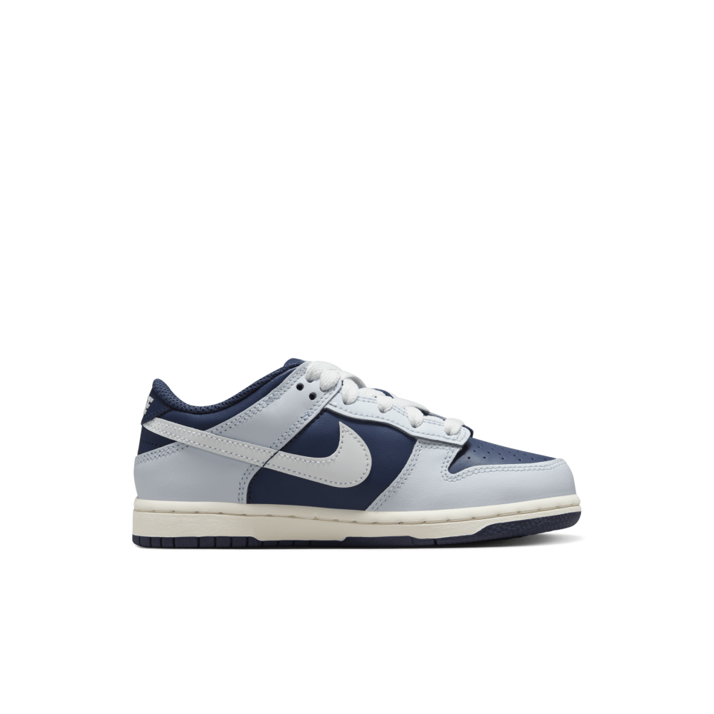 Nike Dunk Low FB9108-002 / grau