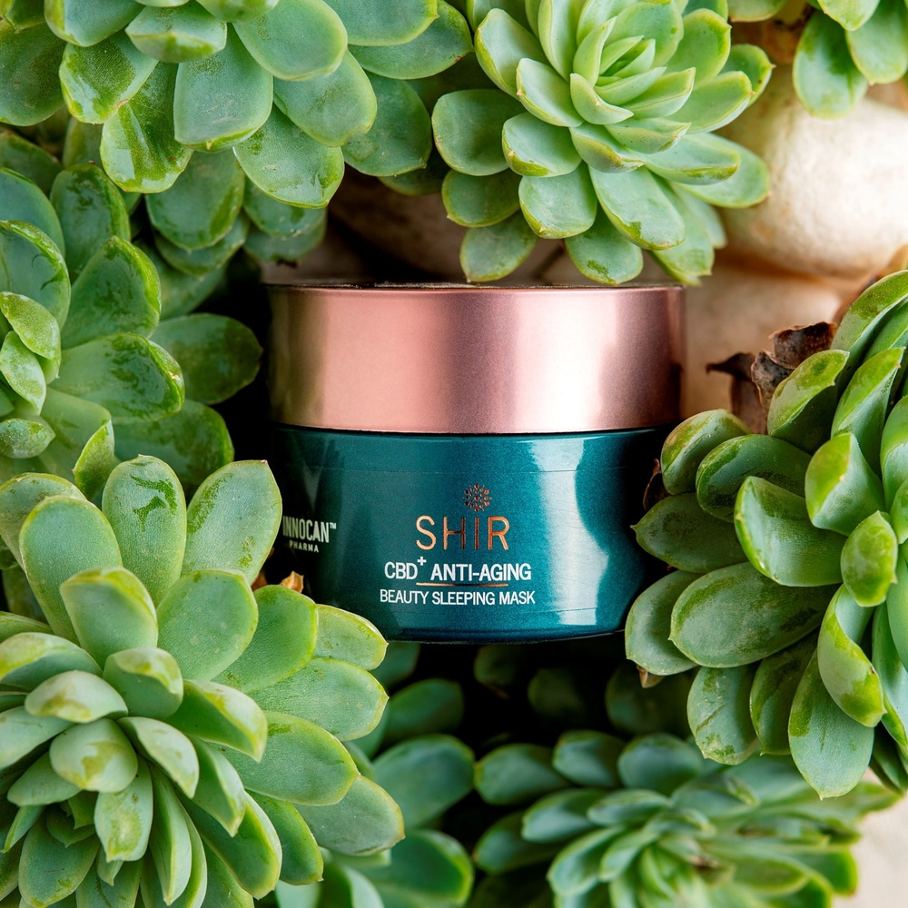takecare Masque de nuit anti-âge concentré en CBD Masque visage CBD