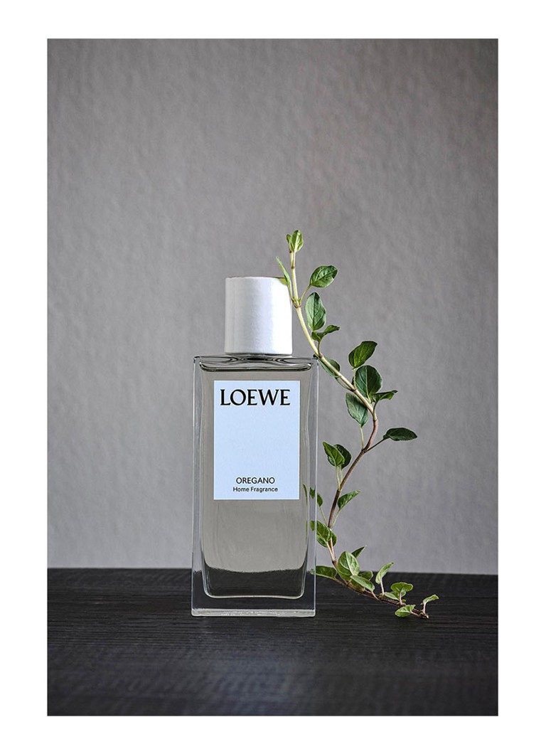 LOEWE Oregano istabas aerosols - mājas smaržas 150 ml