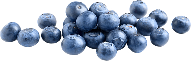 Heidelbeeren