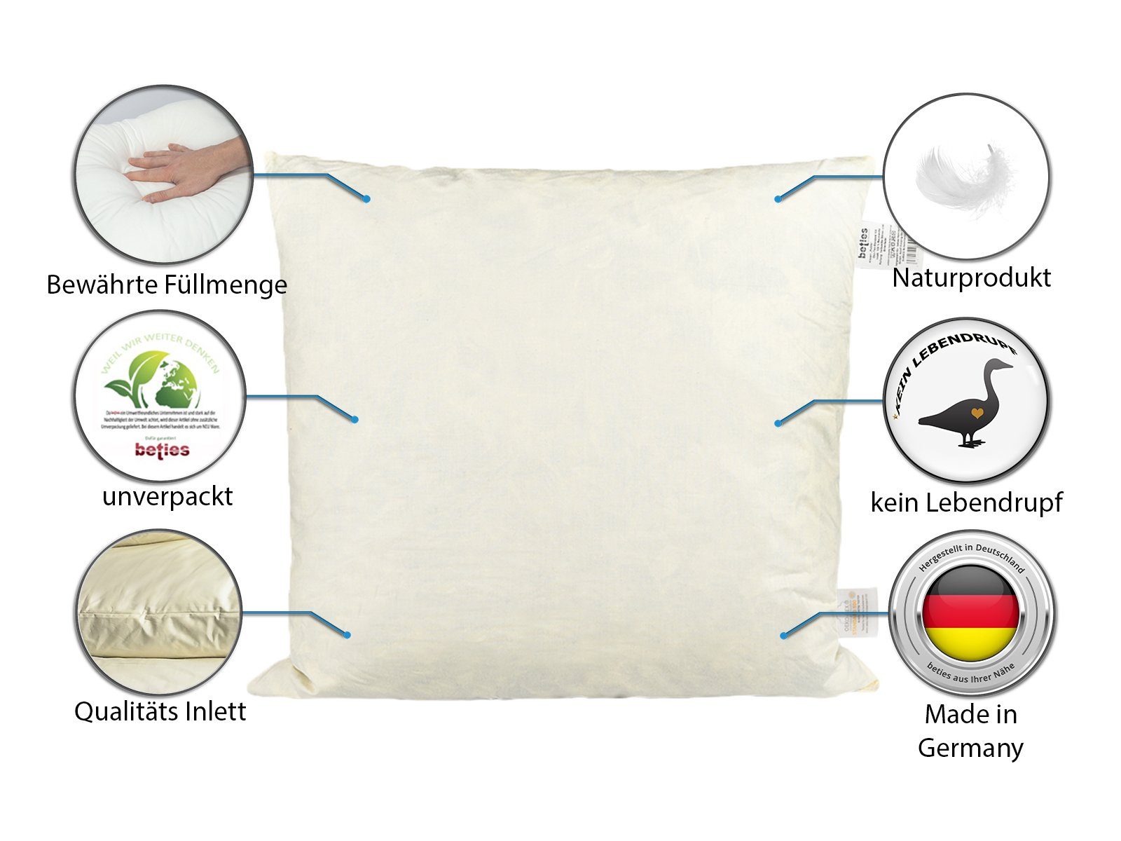 Federkissen Publik 2er Set, beties, Füllung: halbweiße Gänse- und Entenfedern (kein Lebendrupf), Bezug: Baumwolle, Seitenschläfer, Rückenschläfer, Bauchschläfer, Set, 2-tlg, Federkissen ca. 40x40 cm Federn ohne Lebendrupf