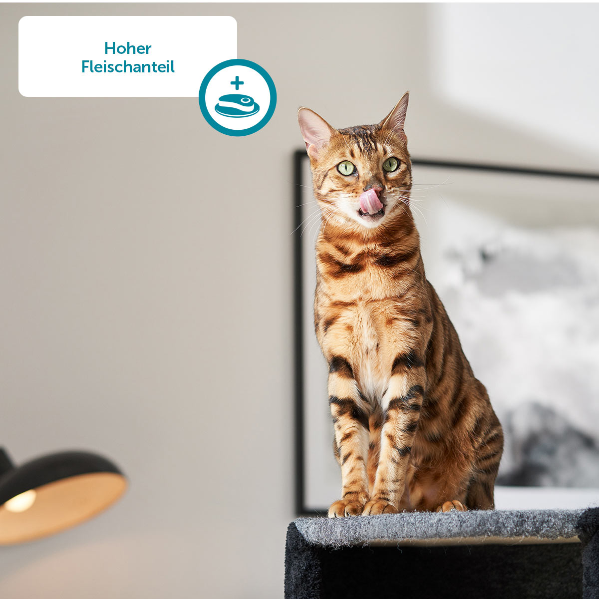 ZooRoyal Katzen-Grillies Geflügelschinken & Käse