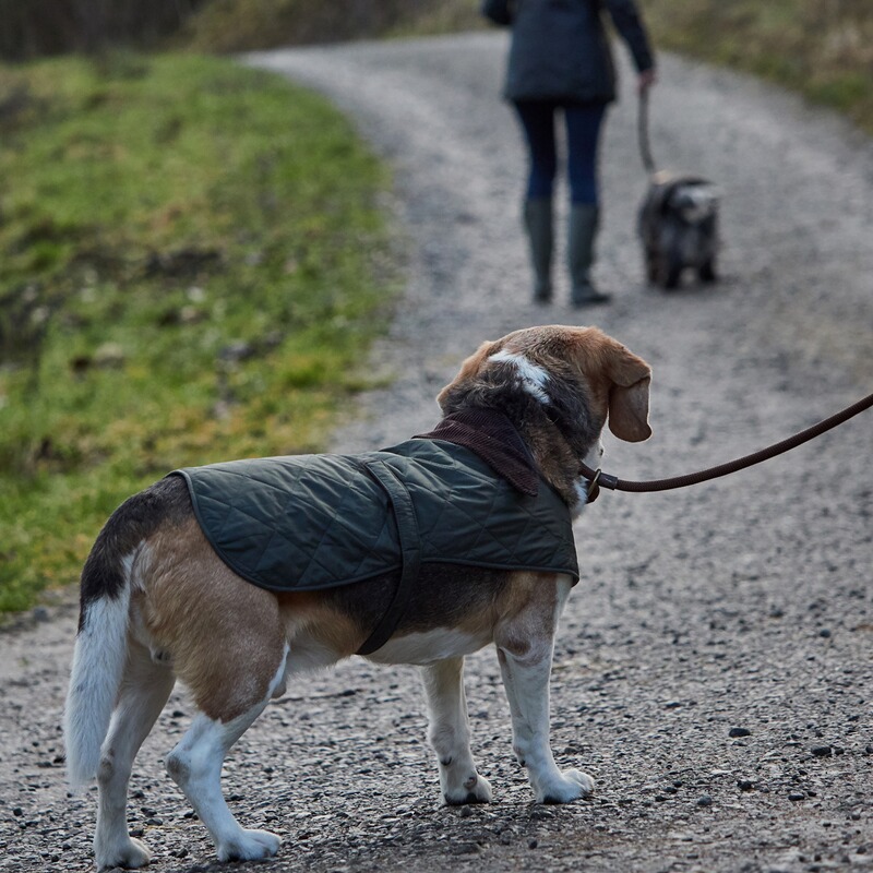 Barbour Hundemantel Quilted