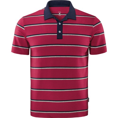SCHNEIDER SPORTSWEAR HERREN POLO MICELM