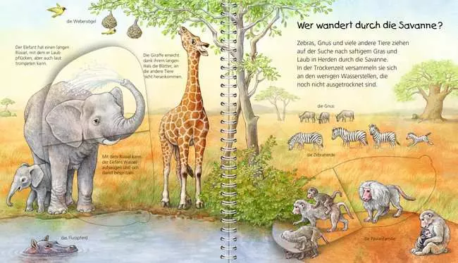 Ravensburger Wieso? Weshalb? Warum? Mein junior-Lexikon: Tiere