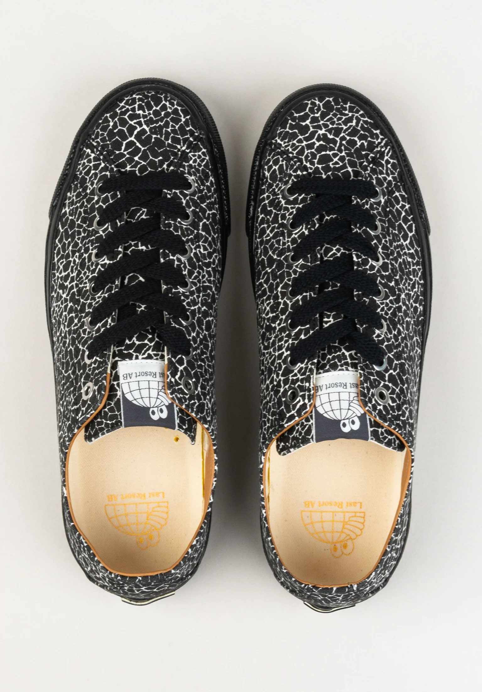 VM003 Canvas Low