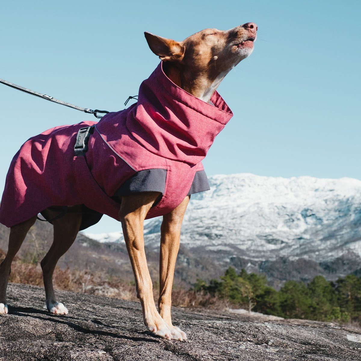 HURTTA Hundemantel Expedition Wintermantel rot