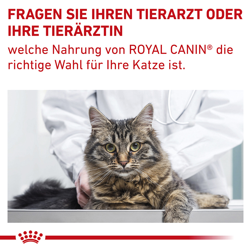 ROYAL CANIN Schonkost ROYAL CANIN Expert Gastrointestinal Fibre Response 4 kg