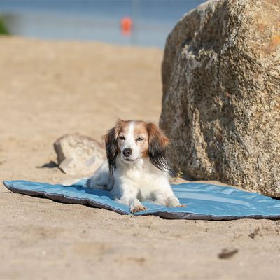 Trixie Samoa Classic Reisedecke