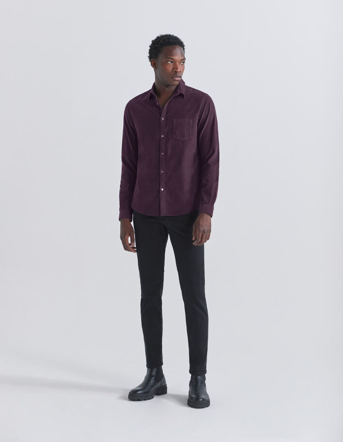 Chemise REGULAR dark plum en velours milleraies Homme