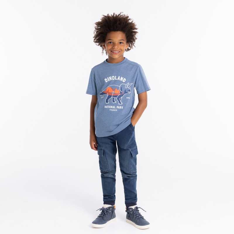 T-shirt à motif dinosaure bleu garçon