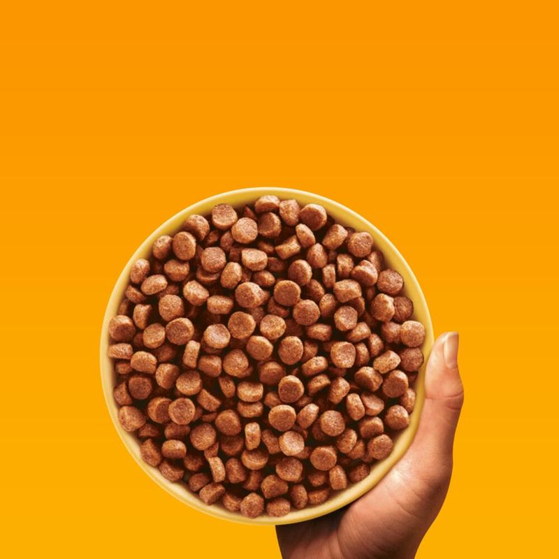 Pedigree Professional Nutrition Junior mit Geflügel & Gemüse