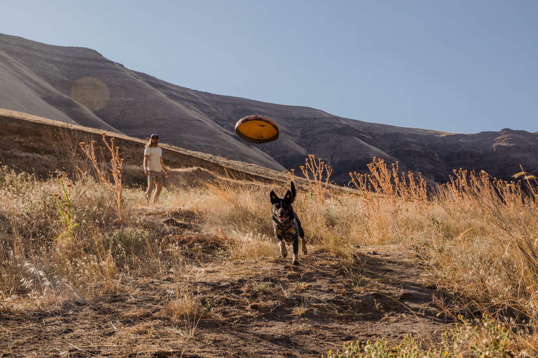 Ruffwear Frisbees & Wurfspielzeug Ruffwear Hover Craft™ Spielzeug orange
