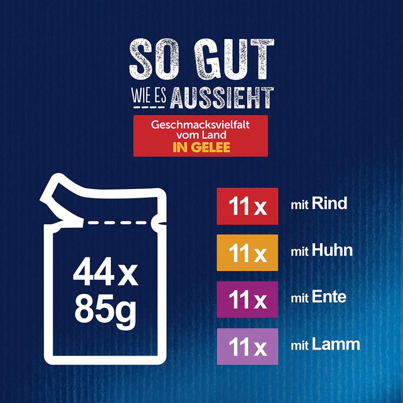 Sparpaket Felix ''So gut wie es aussieht'' 132 x 85 g | bitiba %
